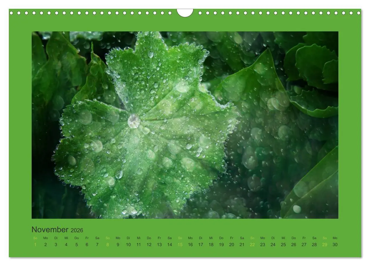 Bild: 9783516228236 | 12 Farben (Wandkalender 2026 DIN A3 quer), CALVENDO Monatskalender