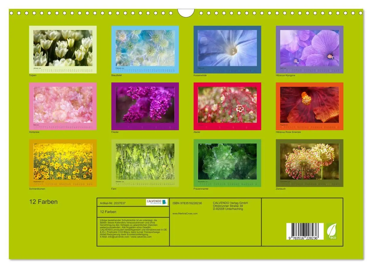 Bild: 9783516228236 | 12 Farben (Wandkalender 2026 DIN A3 quer), CALVENDO Monatskalender