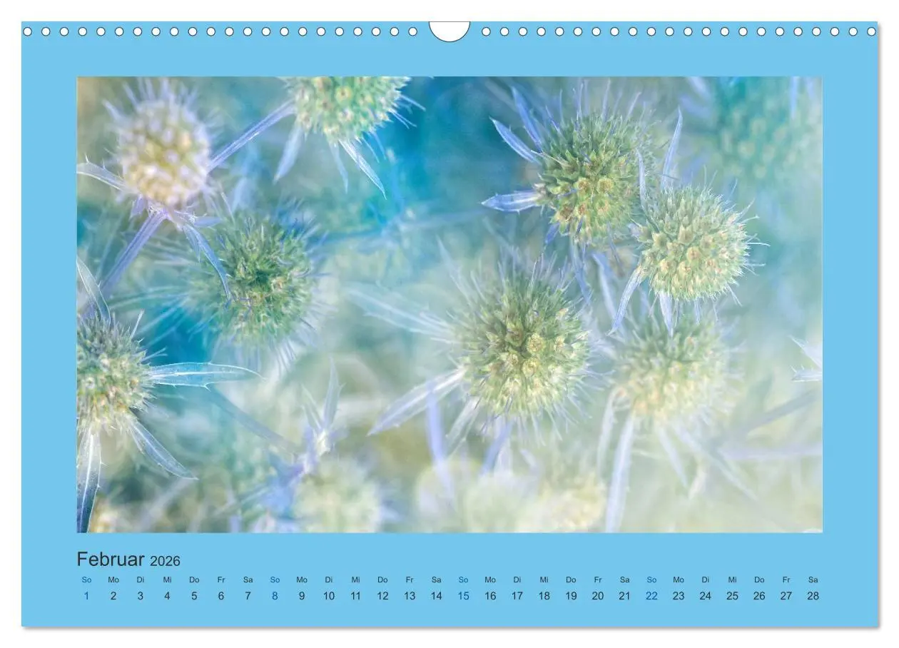 Bild: 9783516228236 | 12 Farben (Wandkalender 2026 DIN A3 quer), CALVENDO Monatskalender