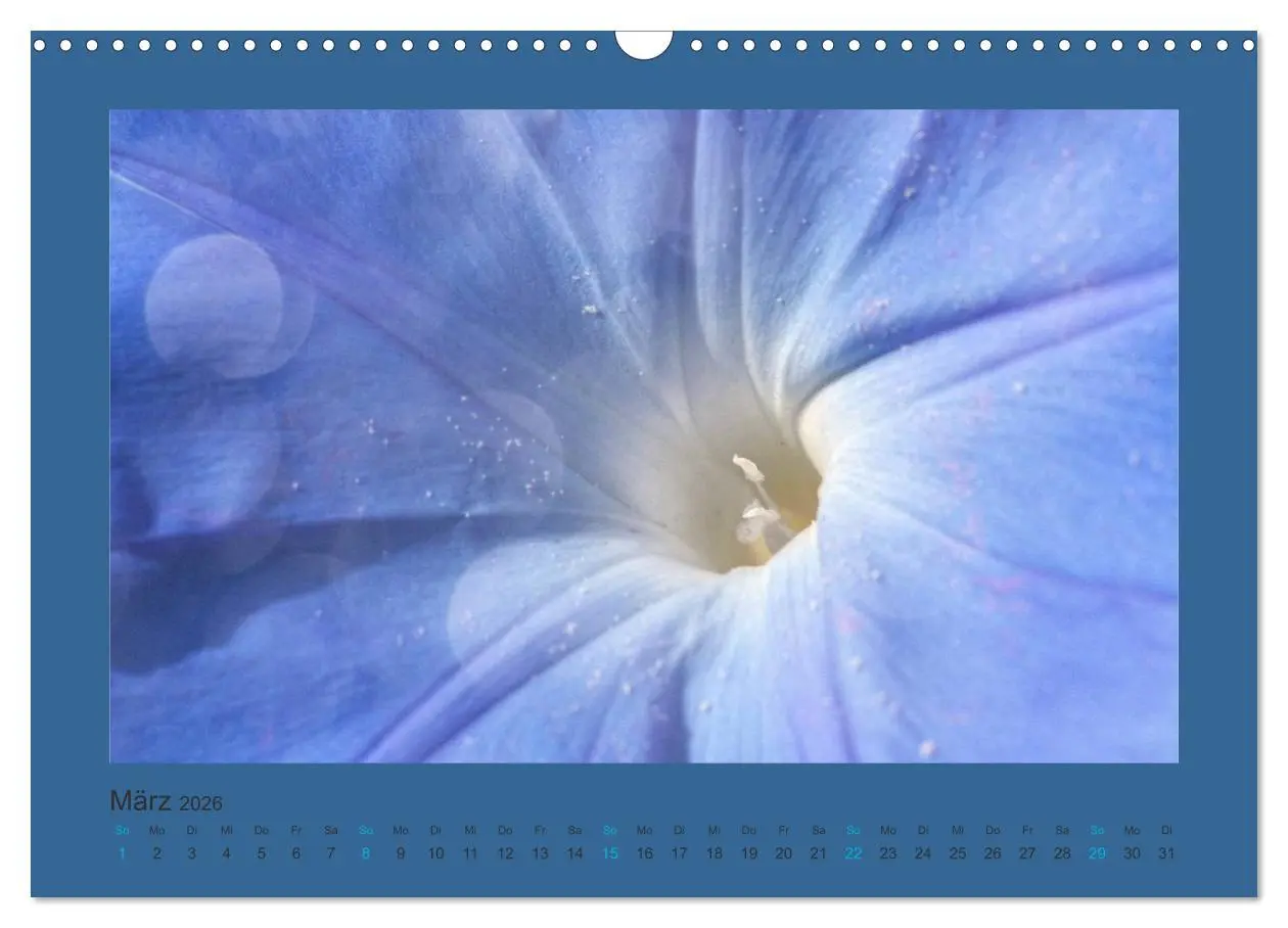 Bild: 9783516228236 | 12 Farben (Wandkalender 2026 DIN A3 quer), CALVENDO Monatskalender