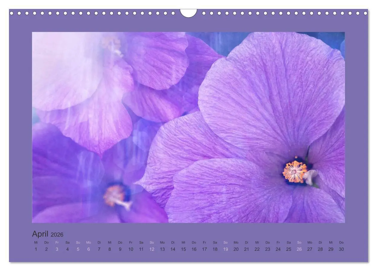 Bild: 9783516228236 | 12 Farben (Wandkalender 2026 DIN A3 quer), CALVENDO Monatskalender