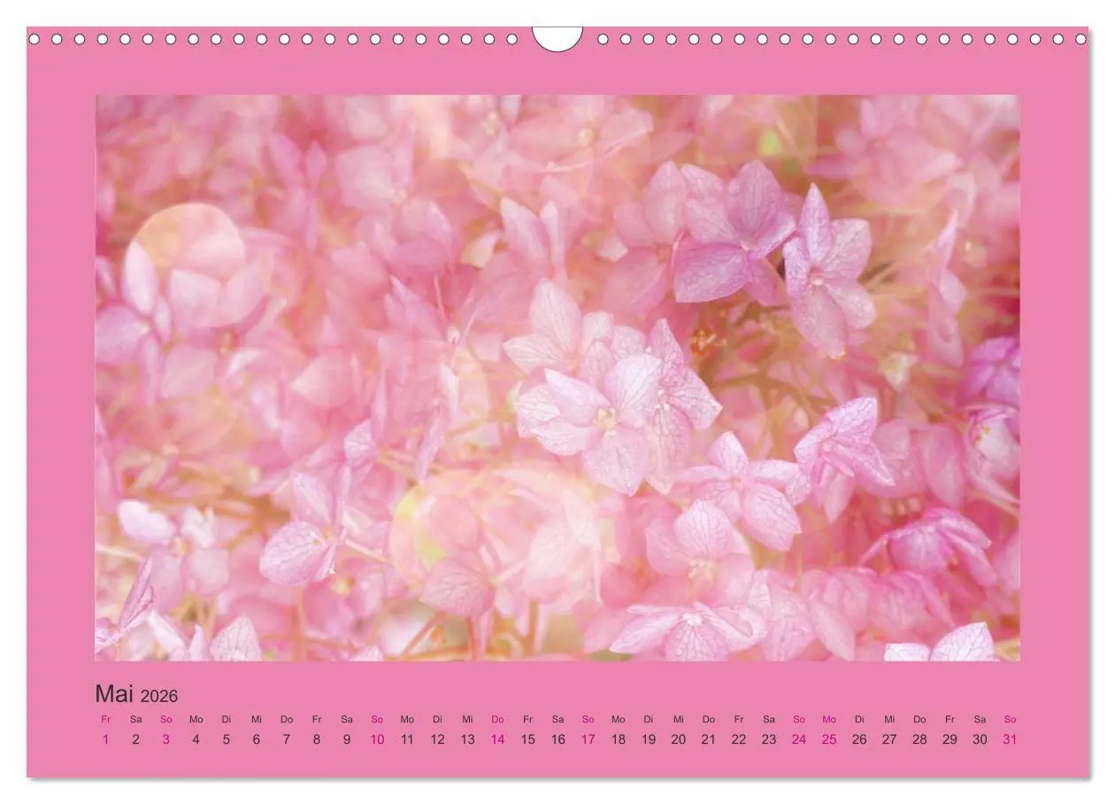 Bild: 9783516228236 | 12 Farben (Wandkalender 2026 DIN A3 quer), CALVENDO Monatskalender
