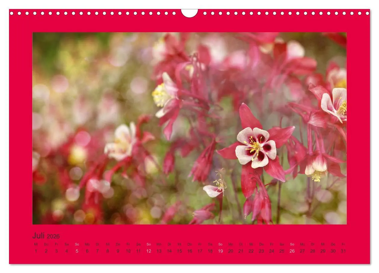 Bild: 9783516228236 | 12 Farben (Wandkalender 2026 DIN A3 quer), CALVENDO Monatskalender