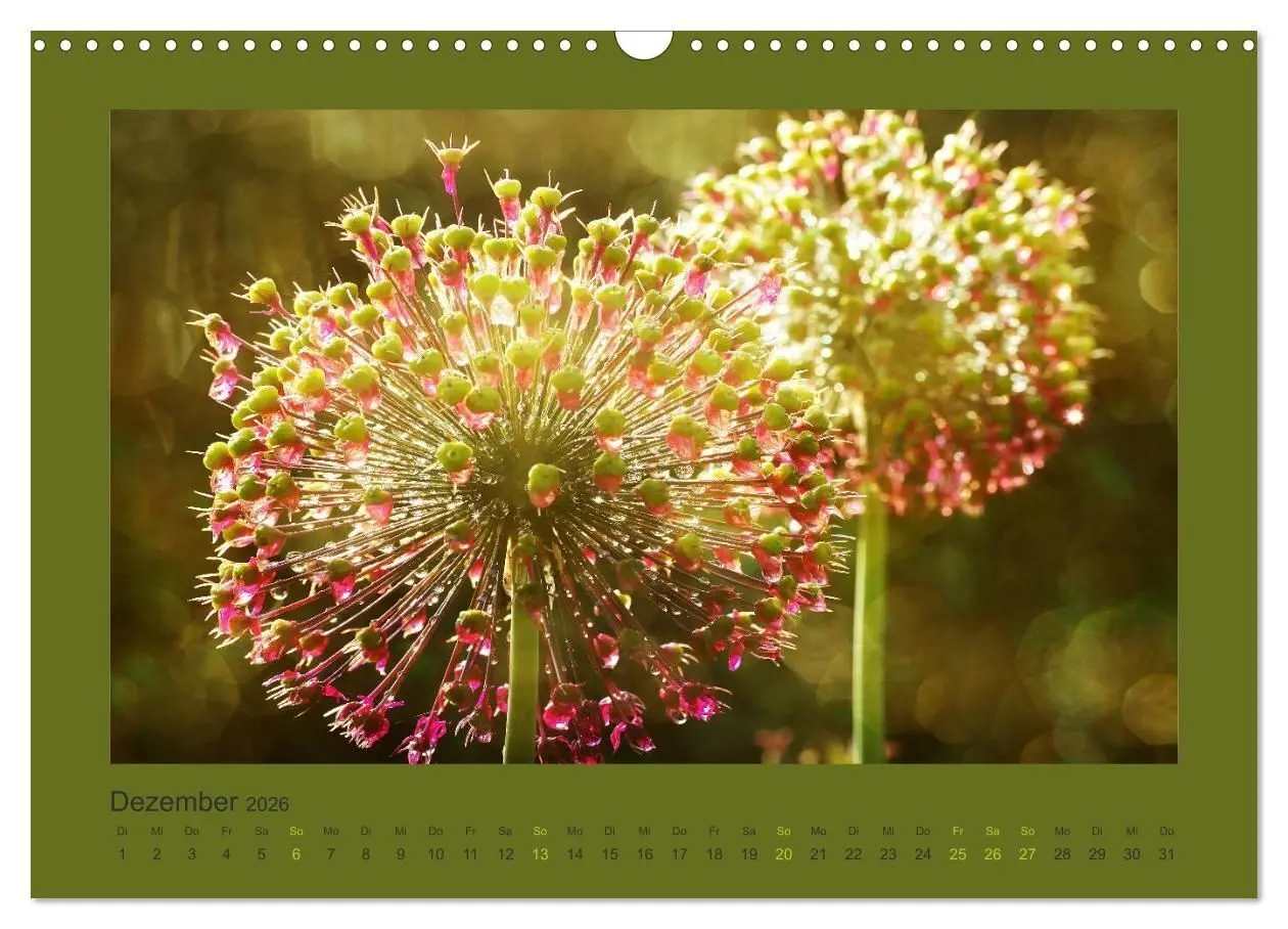 Bild: 9783516228236 | 12 Farben (Wandkalender 2026 DIN A3 quer), CALVENDO Monatskalender