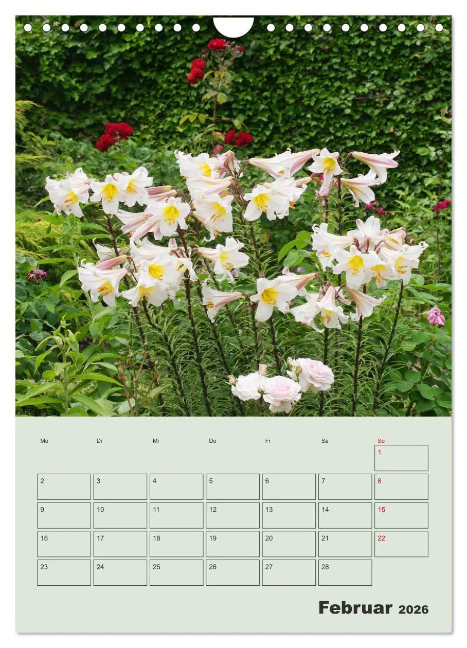 Bild: 9783516398236 | Lilien im Garten (Wandkalender 2026 DIN A4 hoch), CALVENDO...