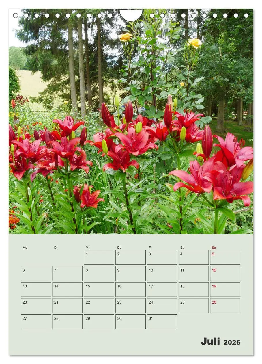 Bild: 9783516398236 | Lilien im Garten (Wandkalender 2026 DIN A4 hoch), CALVENDO...