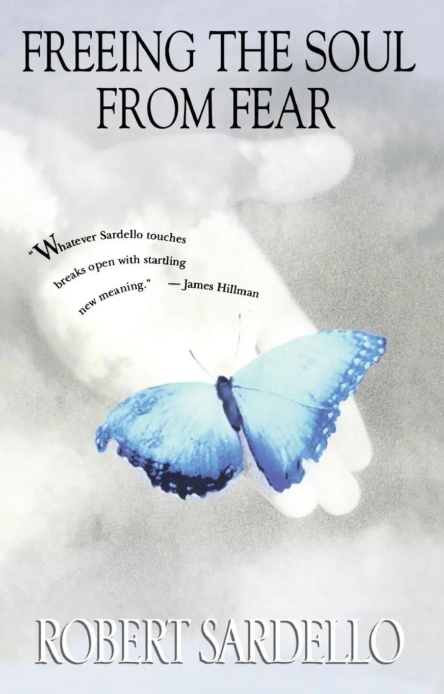 Cover: 9781573228336 | Freeing the Soul from Fear | Robert Sardello | Taschenbuch | Englisch