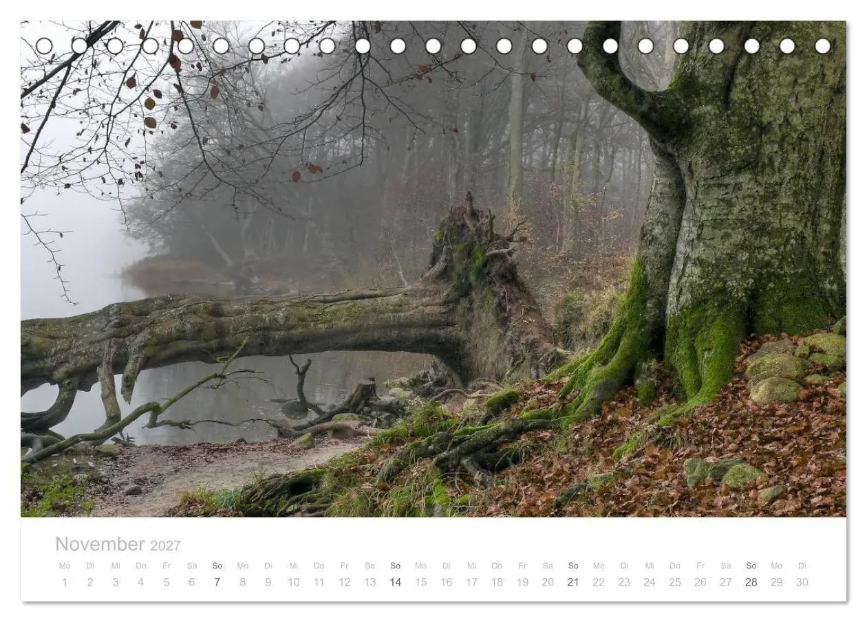 Bild: 9783594048436 | Zauberhafte Schlei (Tischkalender 2027 DIN A5 quer), CALVENDO...
