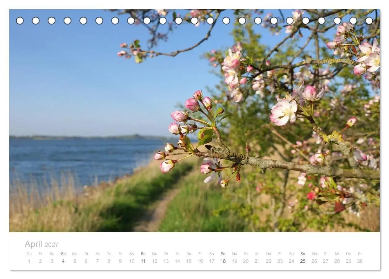 Bild: 9783594048436 | Zauberhafte Schlei (Tischkalender 2027 DIN A5 quer), CALVENDO...
