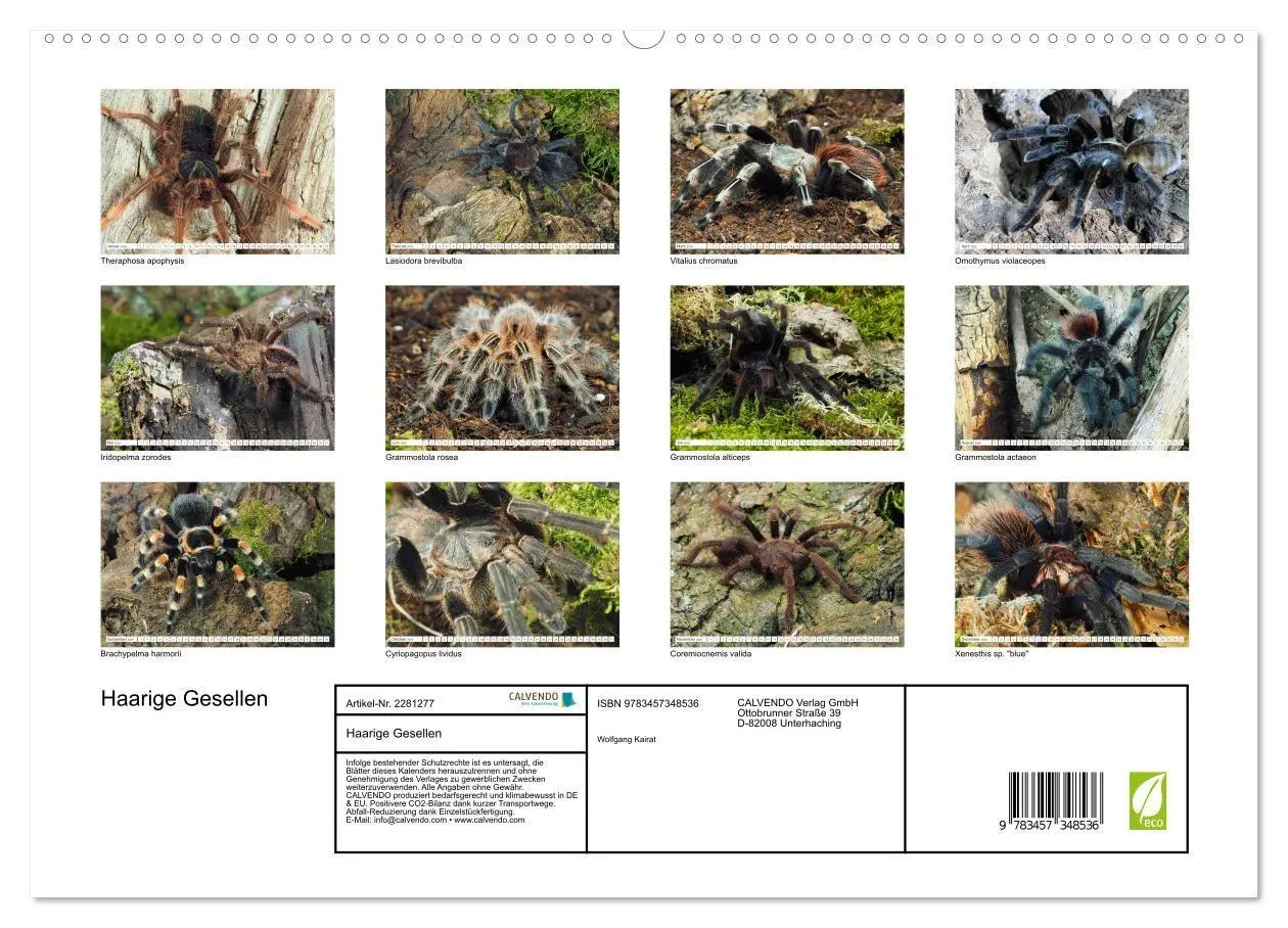 Bild: 9783457348536 | Haarige Gesellen (hochwertiger Premium Wandkalender 2026 DIN A2...