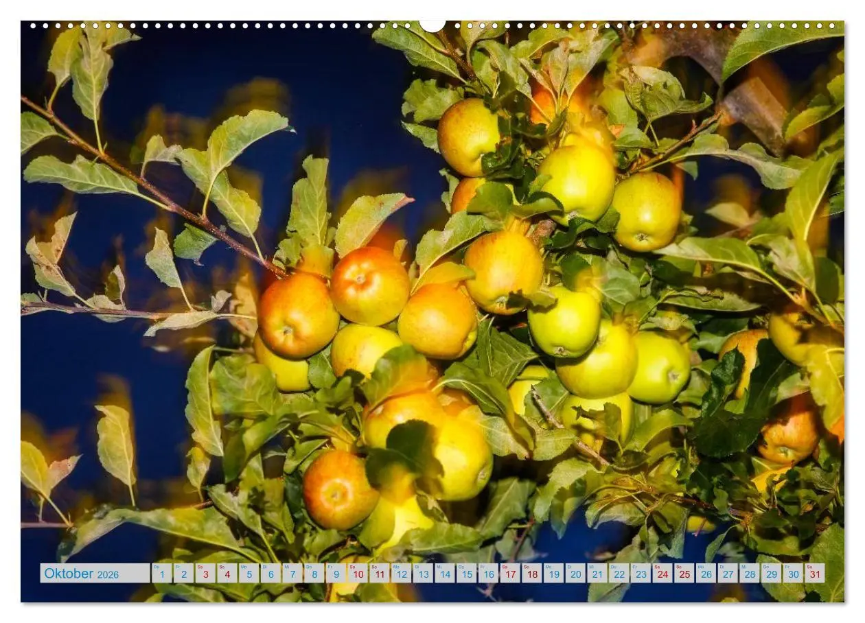 Bild: 9783457898536 | Schönes Südtirol (Wandkalender 2026 DIN A2 quer), CALVENDO...