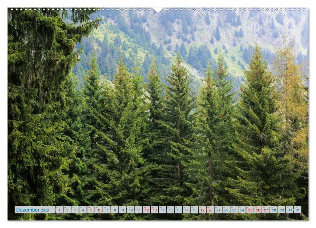 Bild: 9783457898536 | Schönes Südtirol (Wandkalender 2026 DIN A2 quer), CALVENDO...