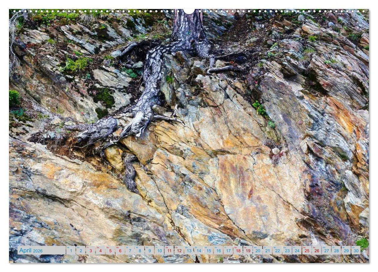 Bild: 9783457898536 | Schönes Südtirol (Wandkalender 2026 DIN A2 quer), CALVENDO...