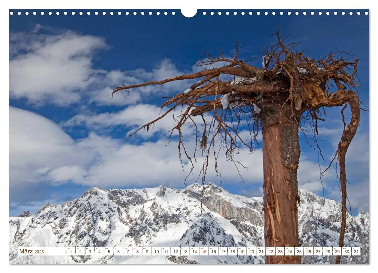 Bild: 9783457968536 | Alles aus Holz (Wandkalender 2026 DIN A3 quer), CALVENDO...