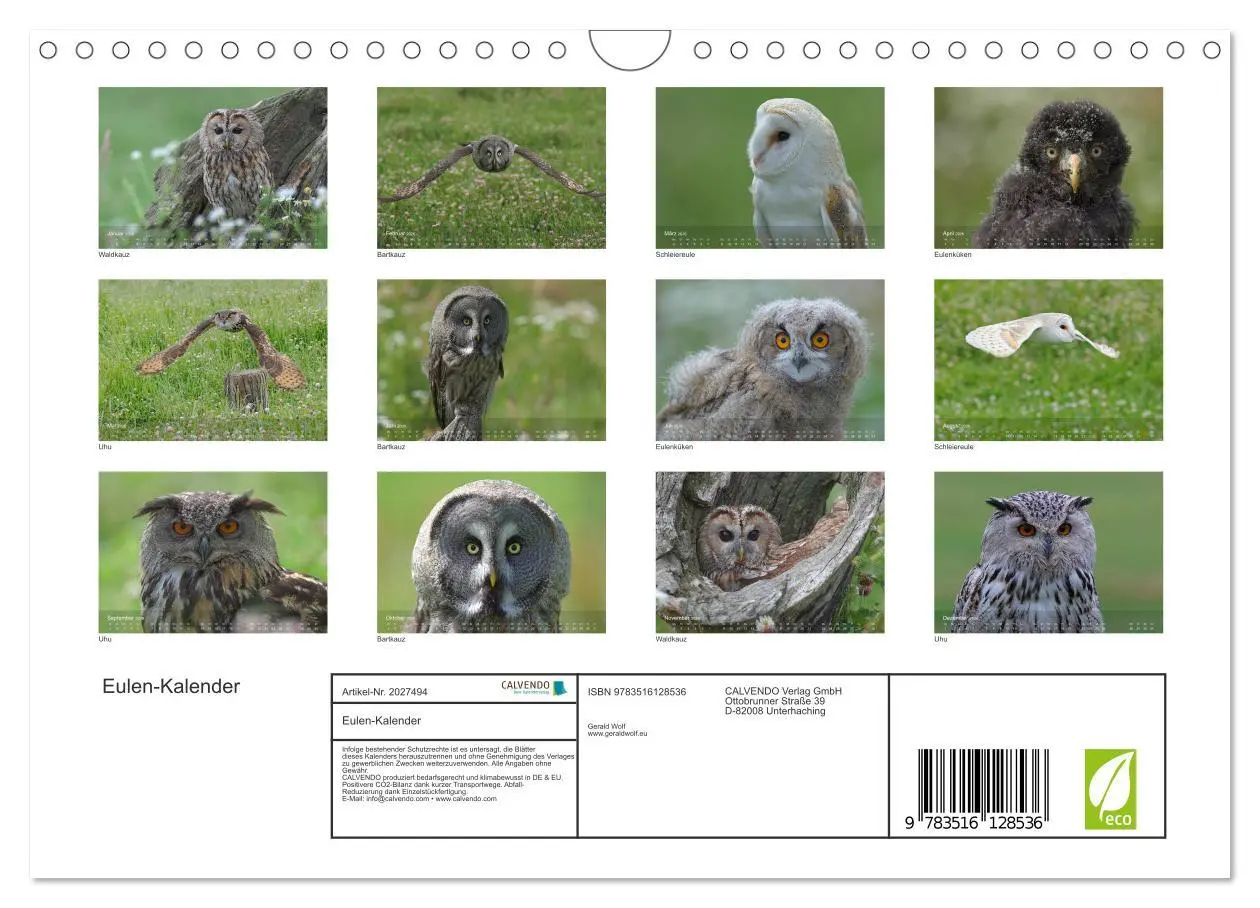 Bild: 9783516128536 | Eulen-Kalender (Wandkalender 2026 DIN A4 quer), CALVENDO...