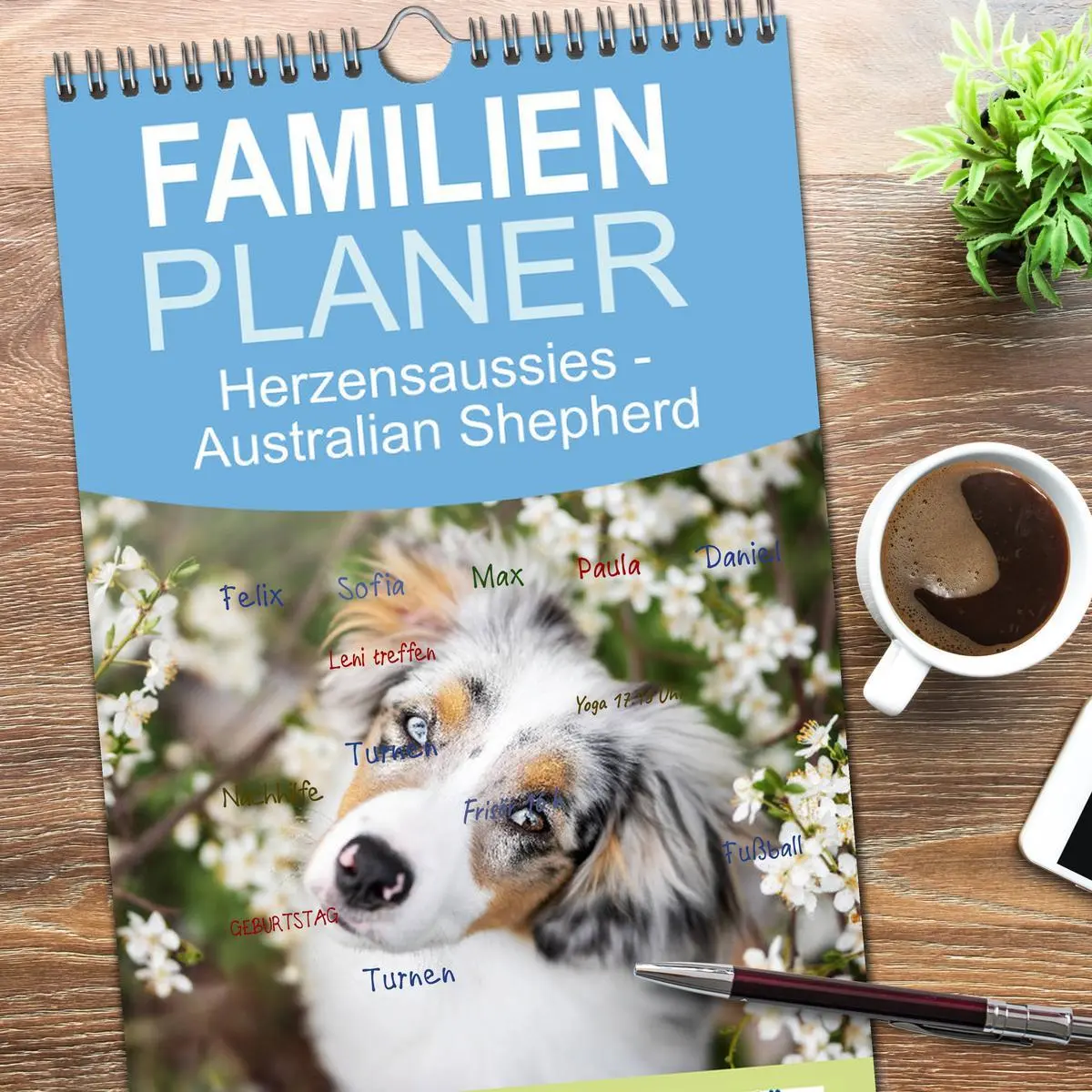 Bild: 9783516508536 | Familienplaner 2026 - Herzensaussies - Australian Shepherd mit 5...