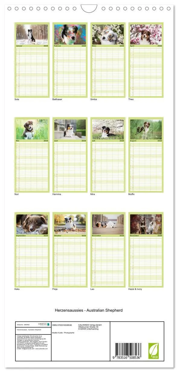 Bild: 9783516508536 | Familienplaner 2026 - Herzensaussies - Australian Shepherd mit 5...