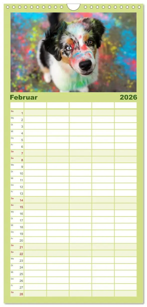 Bild: 9783516508536 | Familienplaner 2026 - Herzensaussies - Australian Shepherd mit 5...