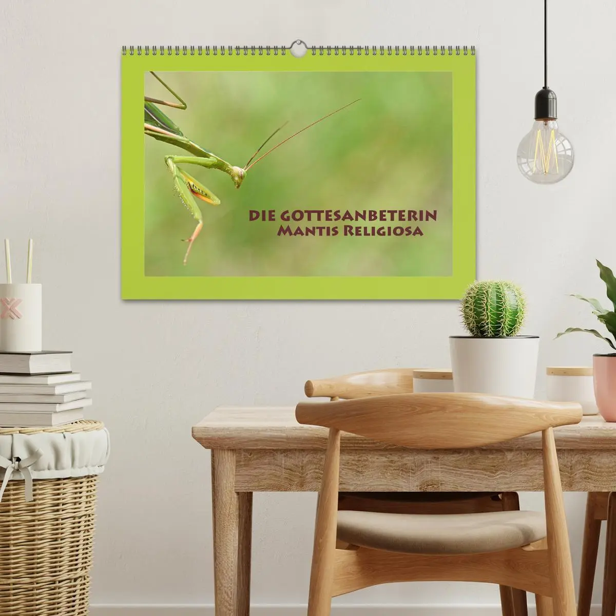 Bild: 9783457718636 | Die Gottesanbeterin Mantis Religiosa (Wandkalender 2026 DIN A3...