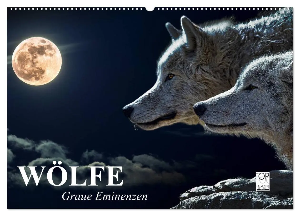 Cover: 9783516048636 | Wölfe. Graue Eminenzen (Wandkalender 2026 DIN A2 quer), CALVENDO...