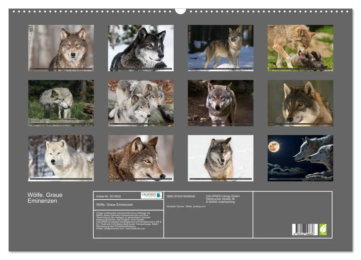 Bild: 9783516048636 | Wölfe. Graue Eminenzen (Wandkalender 2026 DIN A2 quer), CALVENDO...