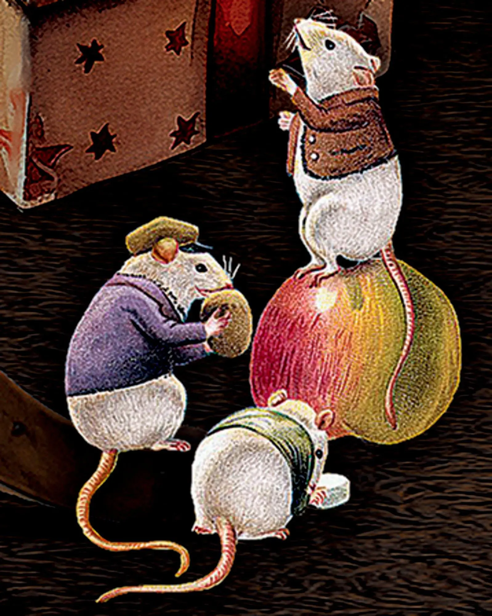 Bild: 4050003958736 | Wand-Adventskalender - Katzen am Fenster | Barbara Behr | Kalender