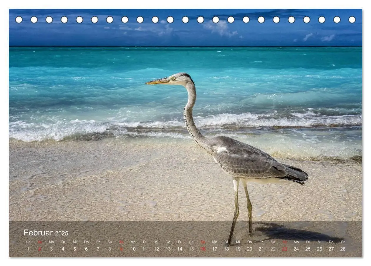 Bild: 9783435618736 | Malediven Impressionen aus dem Paradies (Tischkalender 2025 DIN A5...