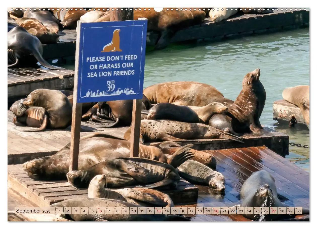 Bild: 9783457638736 | If I'm going to San Francisco (Wandkalender 2026 DIN A2 quer),...