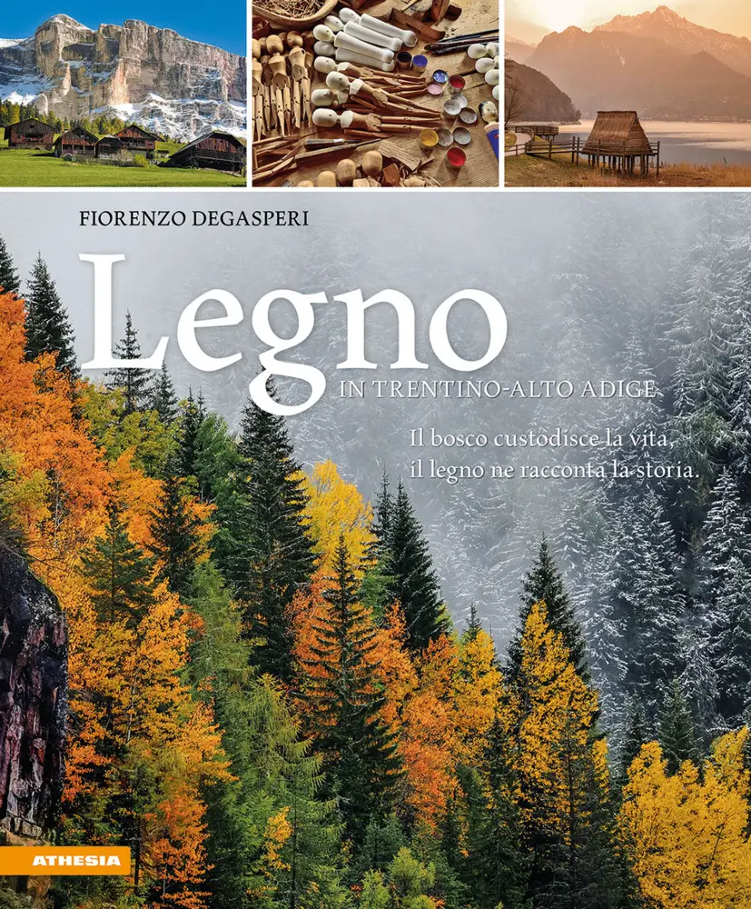 Cover: 9788868398736 | Legno in Trentino-Alto Adige | Fiorenzo Degasperi | Buch | 192 S.
