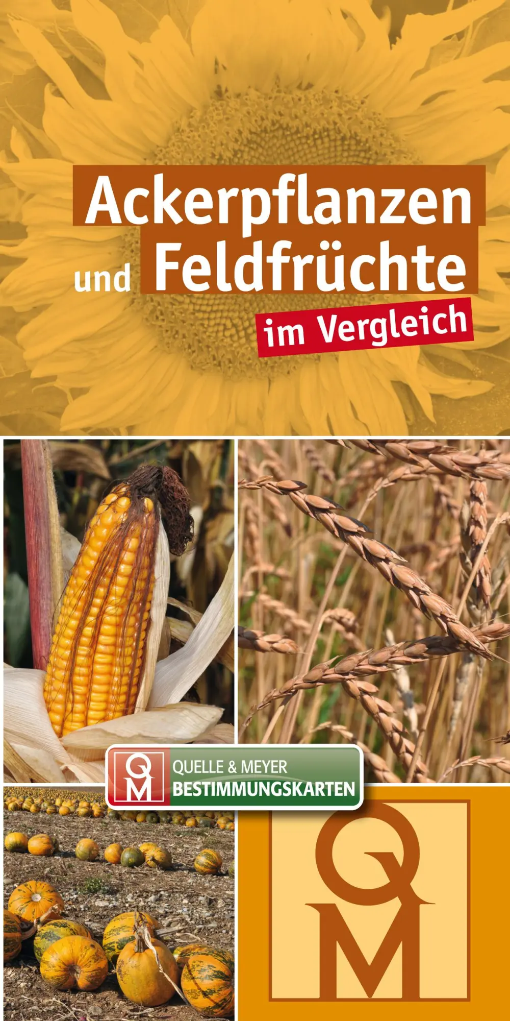 Cover: 9783494018836 | Ackerpflanzen und Feldfrüchte | im Vergleich | Quelle &amp; Meyer Verlag