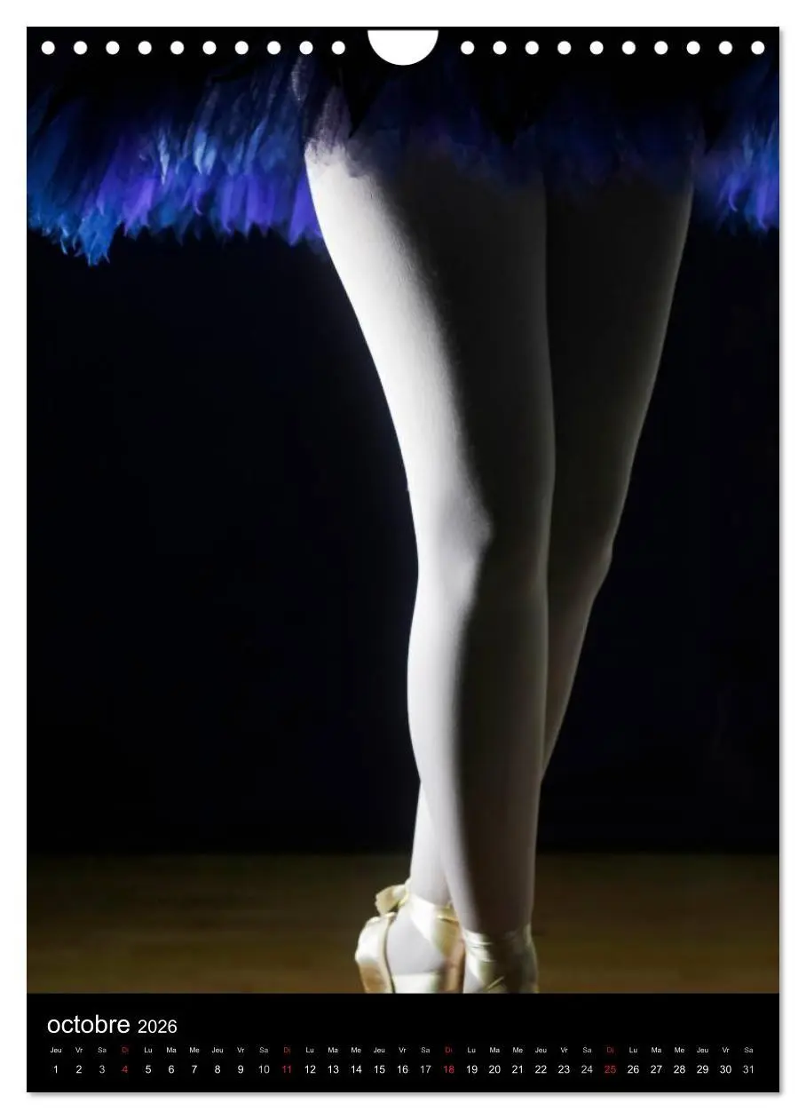 Bild: 9783516578836 | BALLERINE (Calendrier mural 2026 DIN A4 horizontal), CALVENDO...