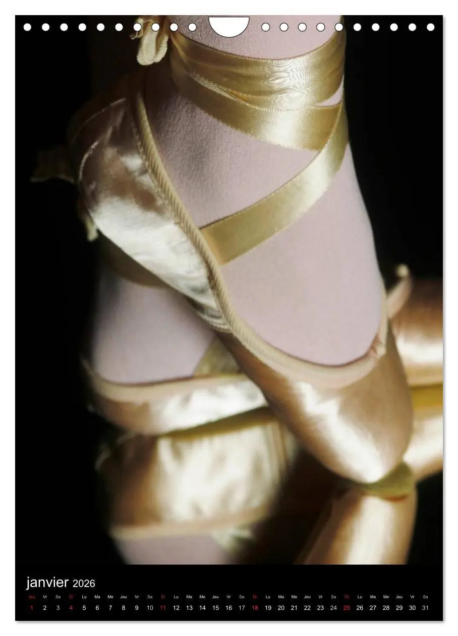 Bild: 9783516578836 | BALLERINE (Calendrier mural 2026 DIN A4 horizontal), CALVENDO...