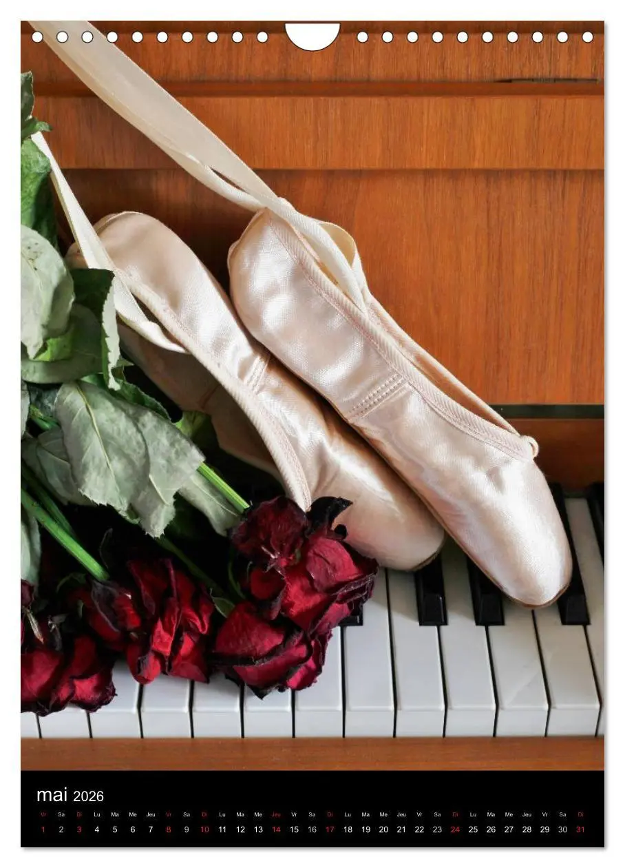 Bild: 9783516578836 | BALLERINE (Calendrier mural 2026 DIN A4 horizontal), CALVENDO...