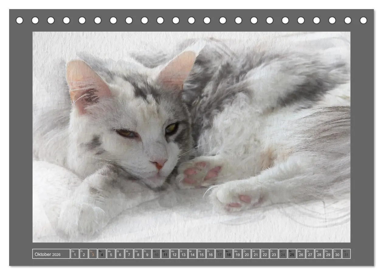 Bild: 9783457618936 | Maine Coon Aquarelle (Tischkalender 2026 DIN A5 quer), CALVENDO...
