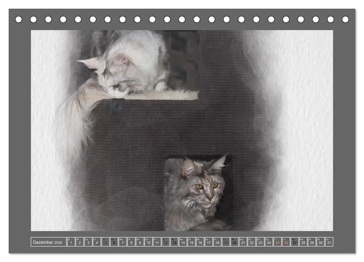Bild: 9783457618936 | Maine Coon Aquarelle (Tischkalender 2026 DIN A5 quer), CALVENDO...