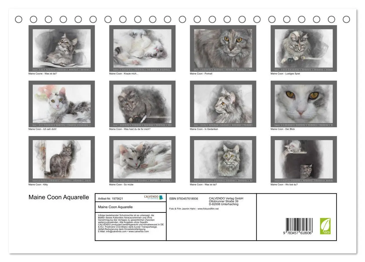 Bild: 9783457618936 | Maine Coon Aquarelle (Tischkalender 2026 DIN A5 quer), CALVENDO...