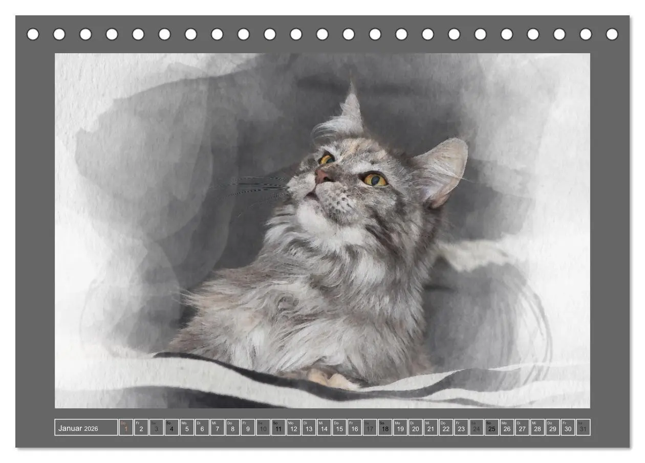 Bild: 9783457618936 | Maine Coon Aquarelle (Tischkalender 2026 DIN A5 quer), CALVENDO...