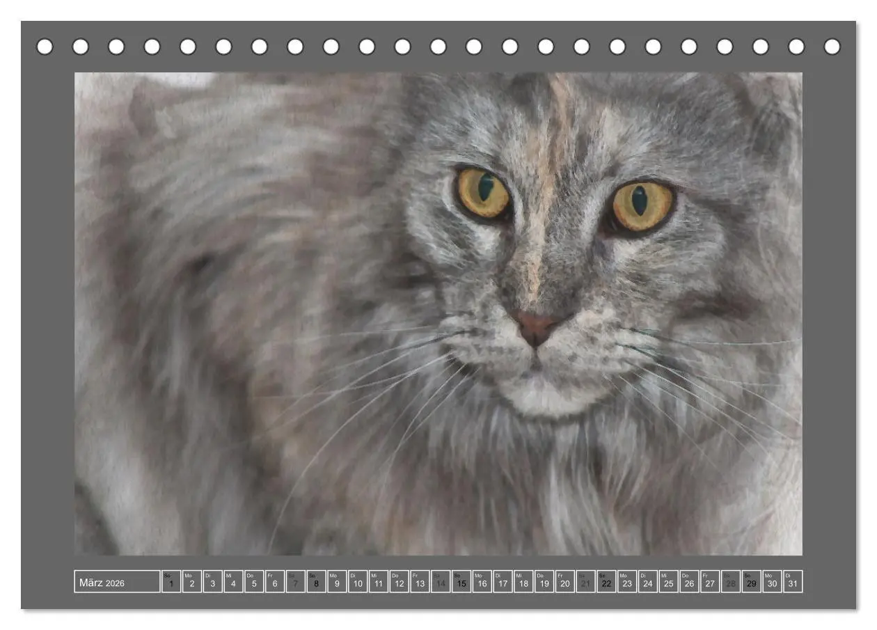 Bild: 9783457618936 | Maine Coon Aquarelle (Tischkalender 2026 DIN A5 quer), CALVENDO...
