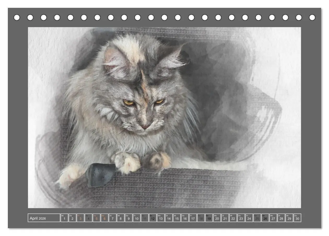 Bild: 9783457618936 | Maine Coon Aquarelle (Tischkalender 2026 DIN A5 quer), CALVENDO...