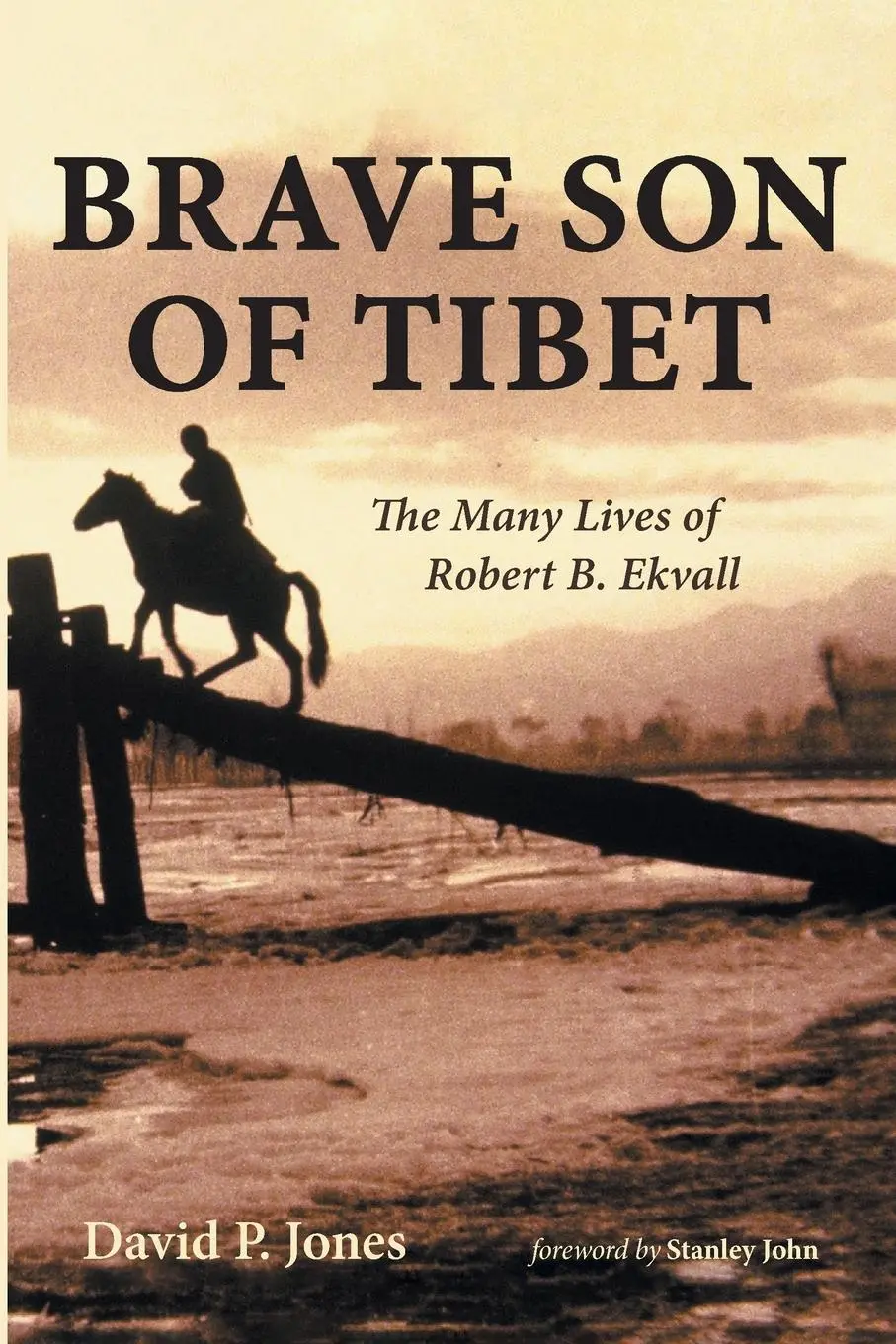 Cover: 9781666769036 | Brave Son of Tibet | David P. Jones | Taschenbuch | Englisch | 2023