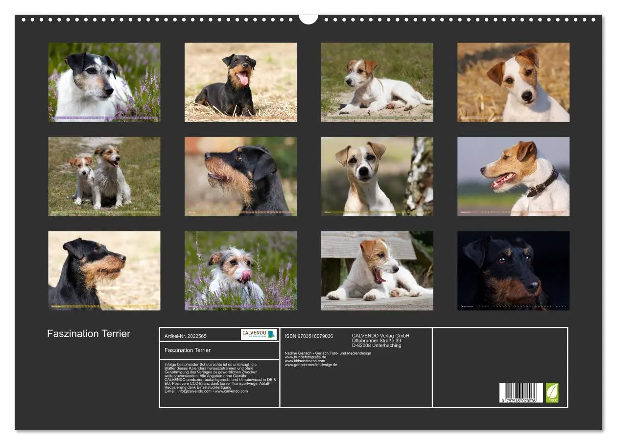 Bild: 9783516079036 | Faszination Terrier (Wandkalender 2026 DIN A2 quer), CALVENDO...