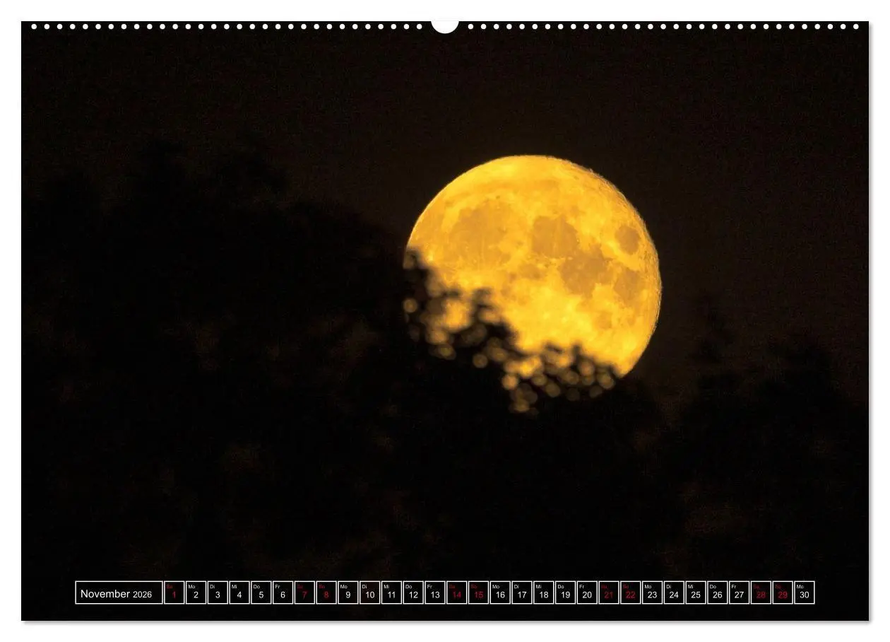 Bild: 9783516699036 | Faszination Mond - der etwas andere Mondkalender (hochwertiger...