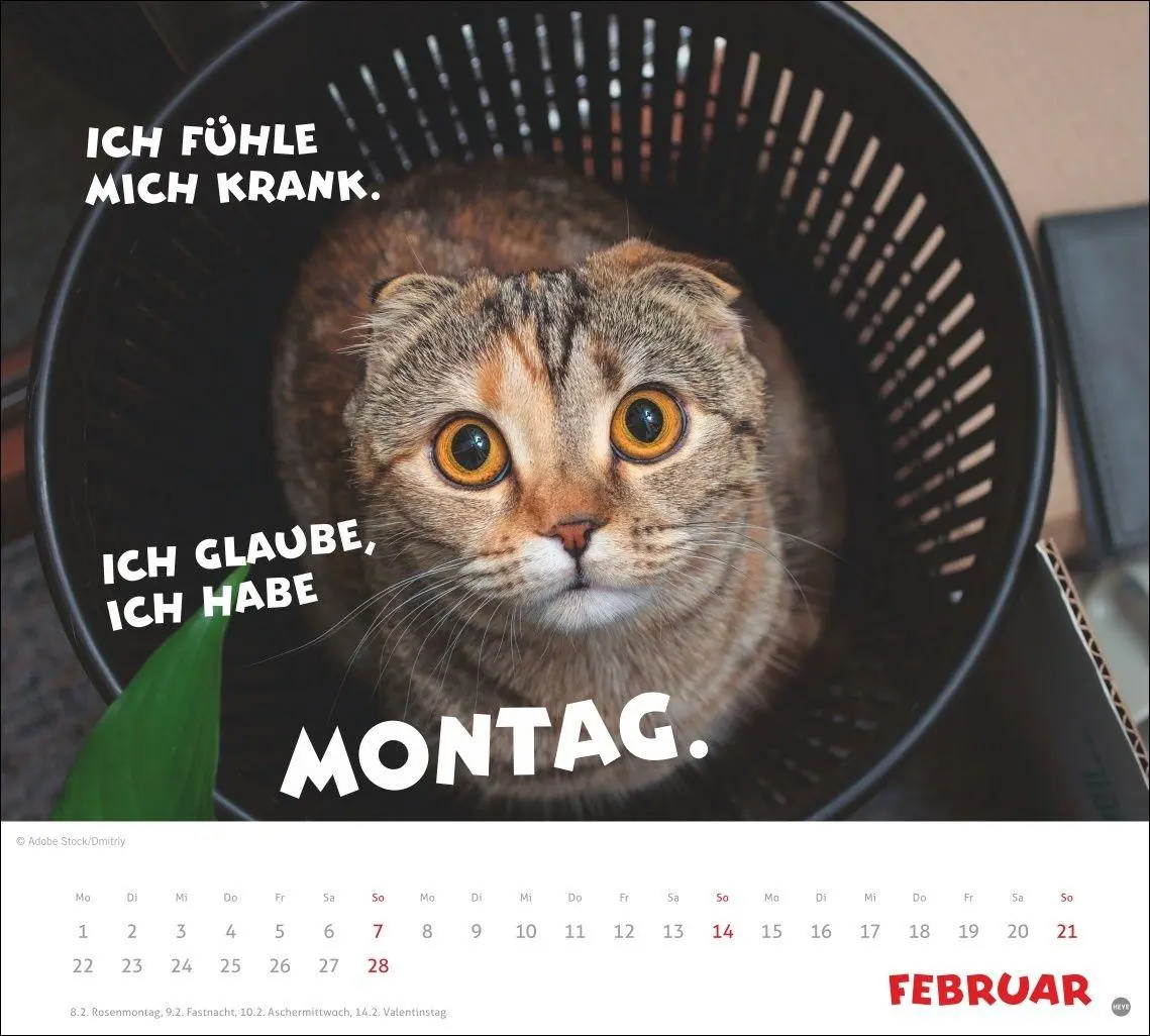 Bild: 9783756419036 | Mach mal Pause Bildkalender 2027 | Kalender | 14 S. | Deutsch | 2027