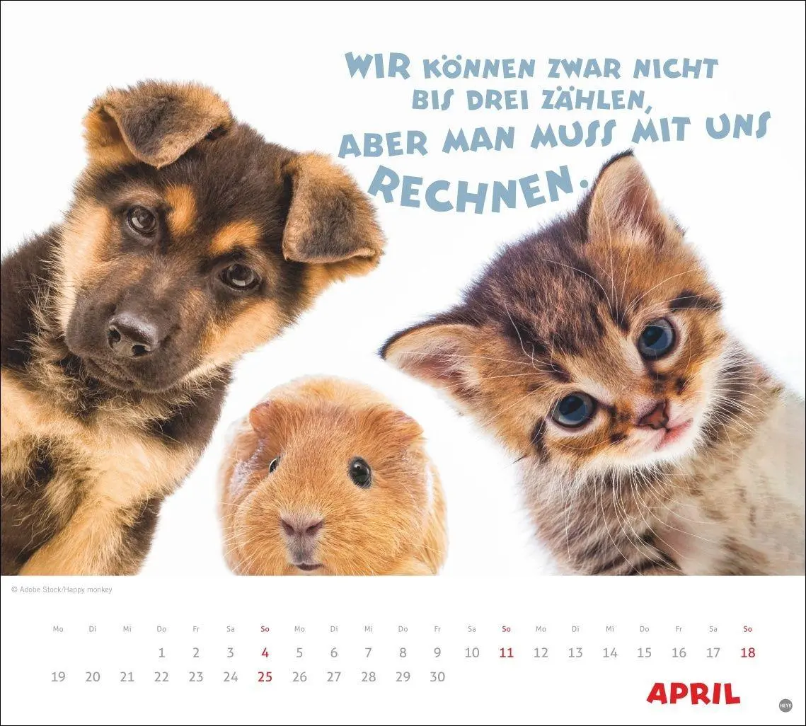 Bild: 9783756419036 | Mach mal Pause Bildkalender 2027 | Kalender | 14 S. | Deutsch | 2027