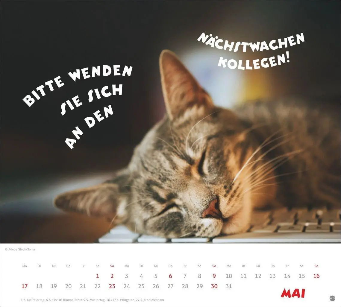 Bild: 9783756419036 | Mach mal Pause Bildkalender 2027 | Kalender | 14 S. | Deutsch | 2027