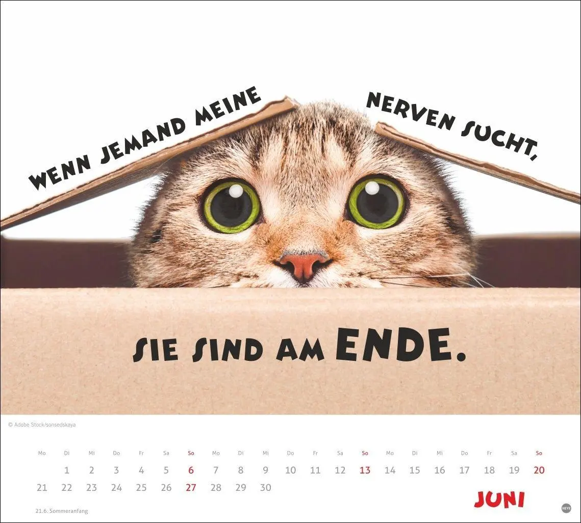 Bild: 9783756419036 | Mach mal Pause Bildkalender 2027 | Kalender | 14 S. | Deutsch | 2027