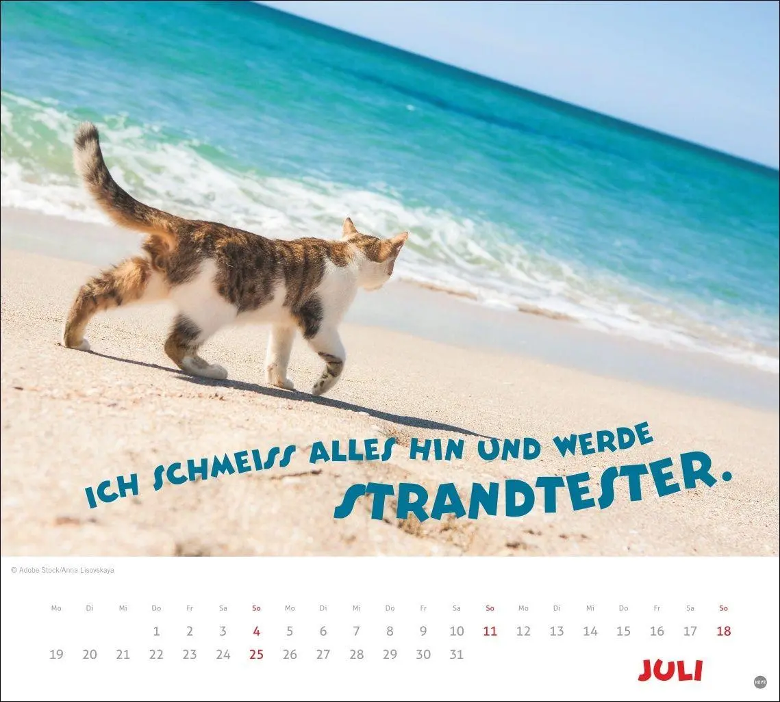 Bild: 9783756419036 | Mach mal Pause Bildkalender 2027 | Kalender | 14 S. | Deutsch | 2027