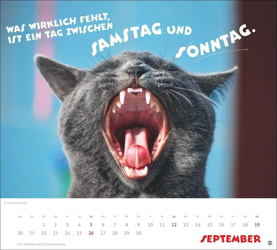 Bild: 9783756419036 | Mach mal Pause Bildkalender 2027 | Kalender | 14 S. | Deutsch | 2027