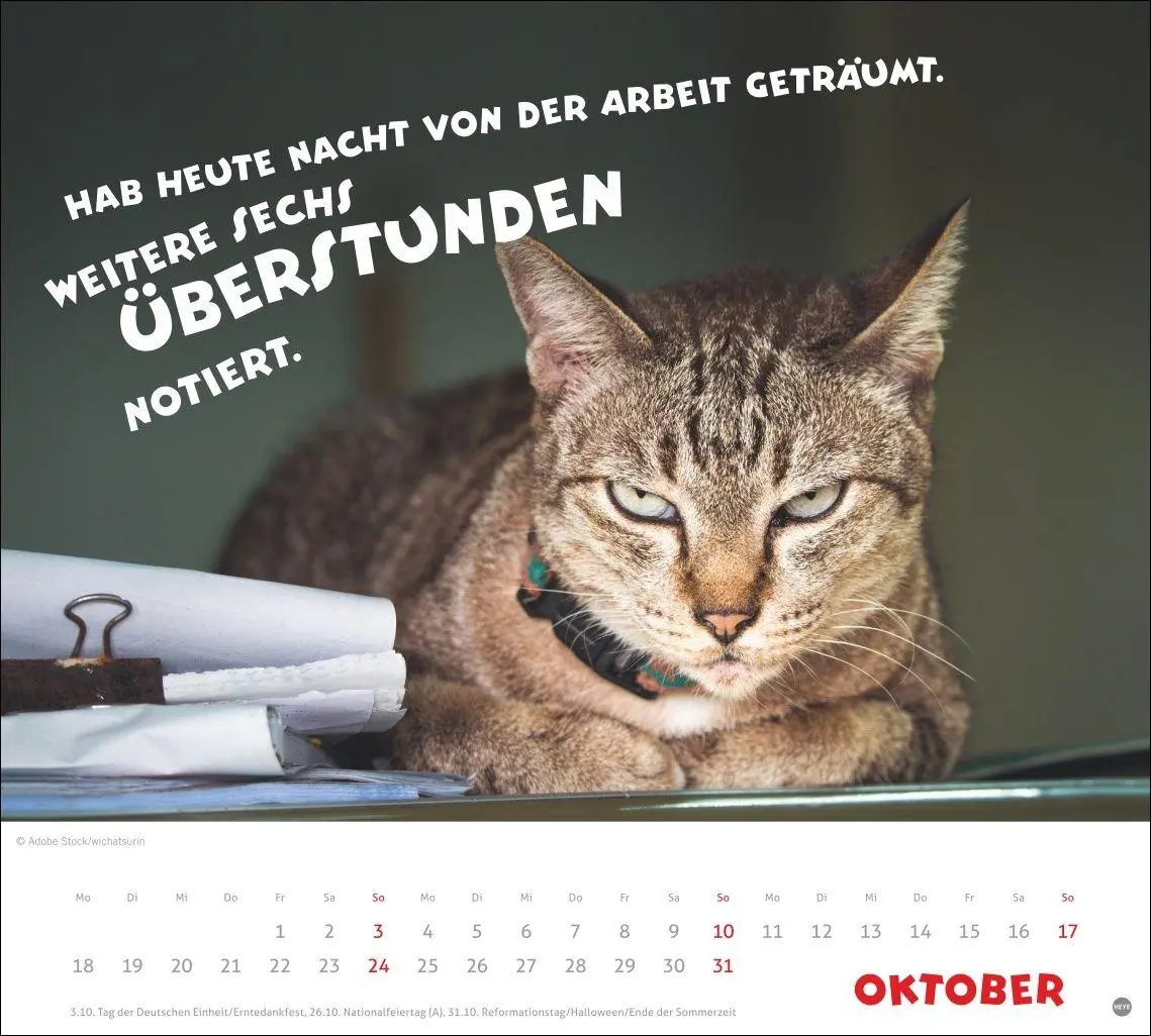 Bild: 9783756419036 | Mach mal Pause Bildkalender 2027 | Kalender | 14 S. | Deutsch | 2027