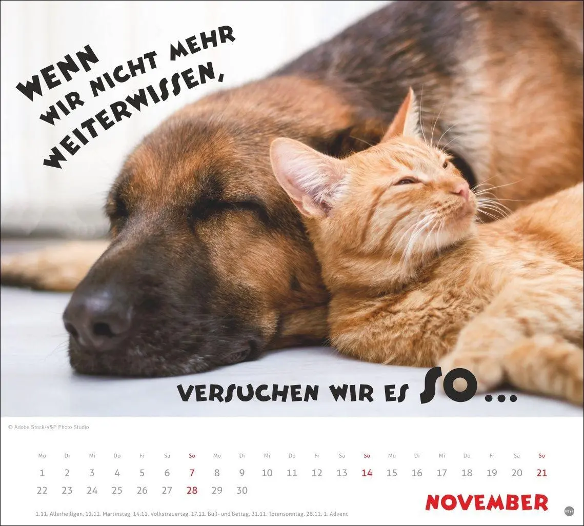 Bild: 9783756419036 | Mach mal Pause Bildkalender 2027 | Kalender | 14 S. | Deutsch | 2027